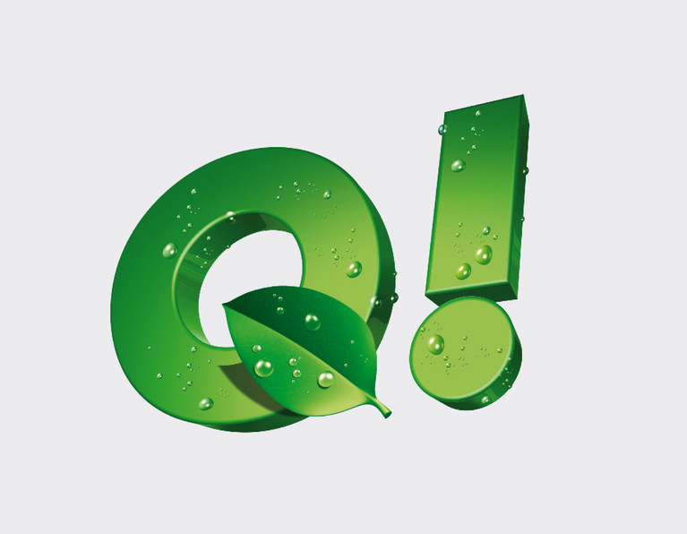 QUE Logo 09.jpg